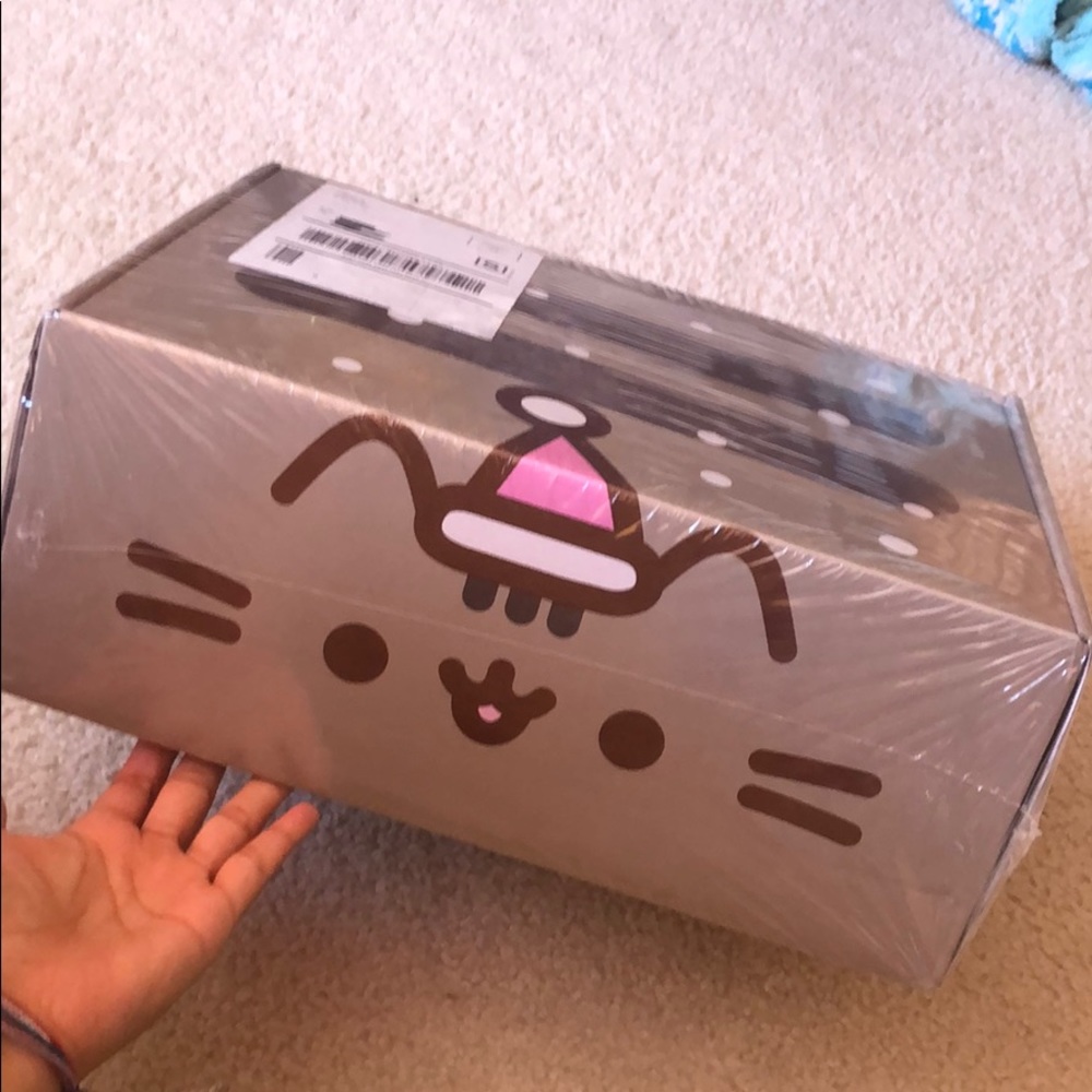 PUSHEEN BOX WINTER 2019